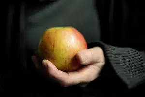 Rozdíl Mezi Mirabelkou A Špendlíkem